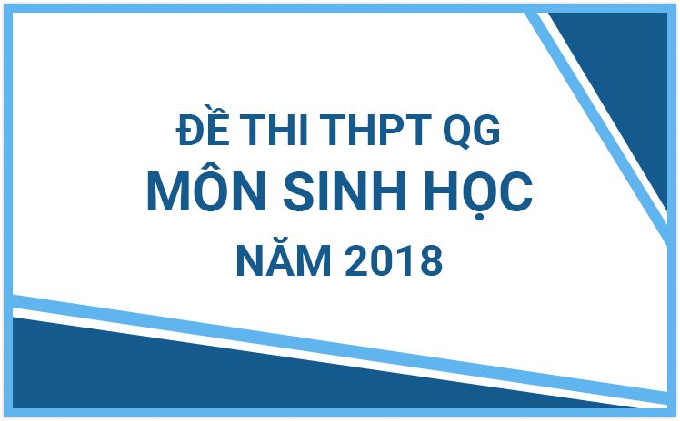 Đề thi chính thức THPT Quốc Gia môn Sinh học năm 2018