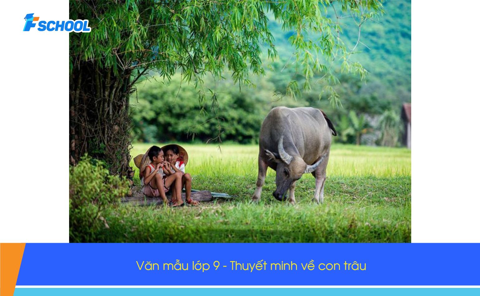 Đề bài: Thuyết minh về con trâu Việt Nam