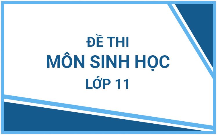 Tổng hợp đề thi môn Sinh Học lớp 11