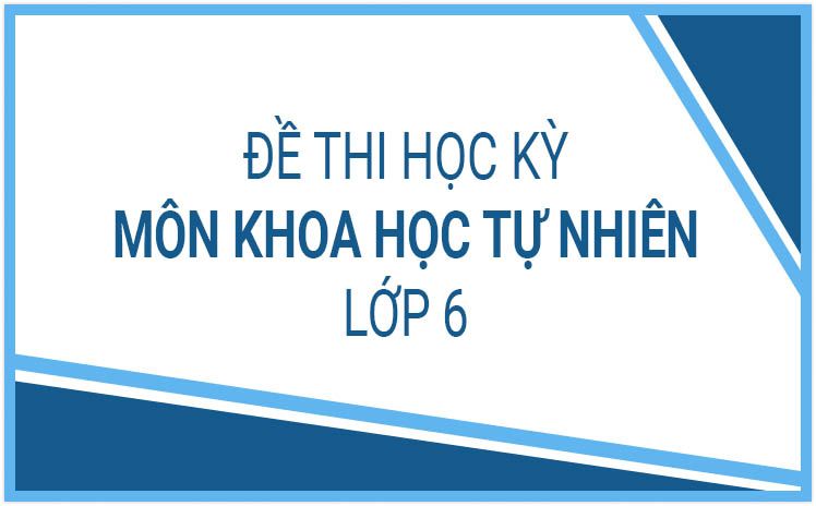 Hot_Đề thi mới nhất môn Khoa học tự nhiên lớp 6 năm học 2022-2023